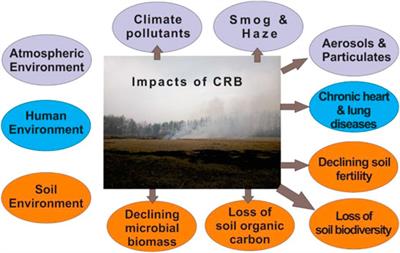 Nexus Between Crop Residue Burning, Bioeconomy and Sustainable Development Goals Over North-Western India